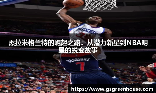 星空综合(中国)官方网站