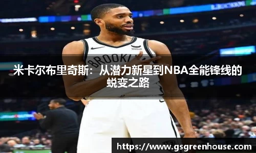星空.综合体育(中国)官方网站